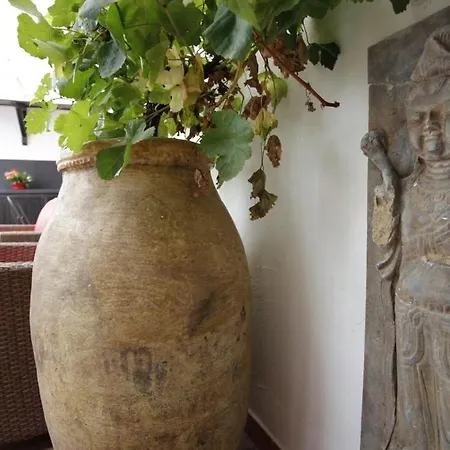 Terraza Tailandia Apartment